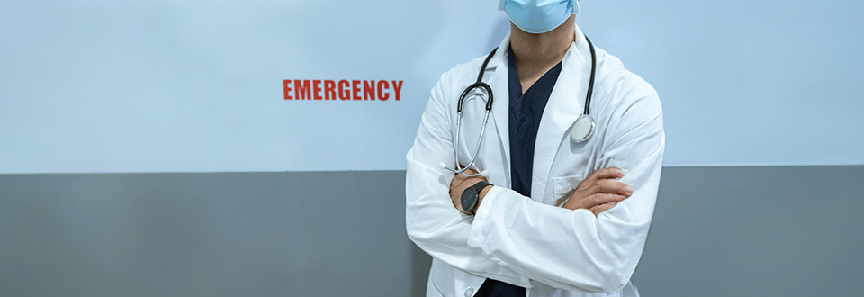 Quando si collabora i cervelli si allineano