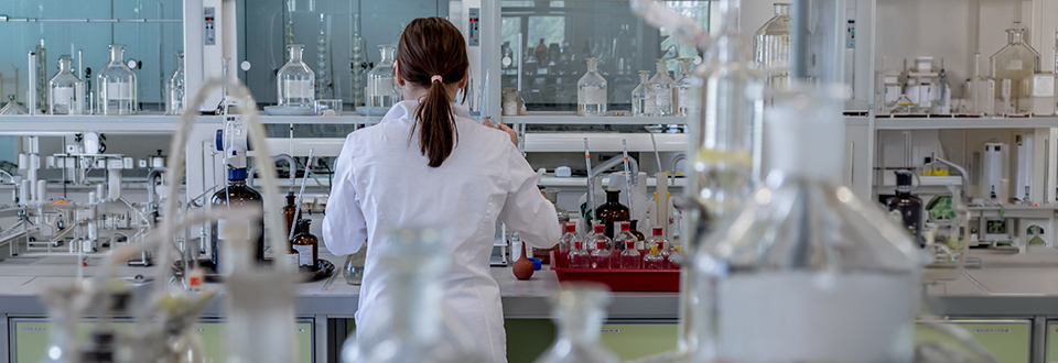 Quando si collabora i cervelli si allineano