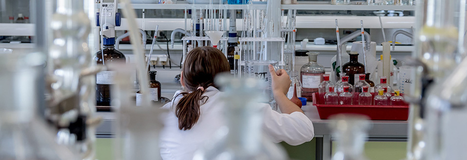 Quando si collabora i cervelli si allineano
