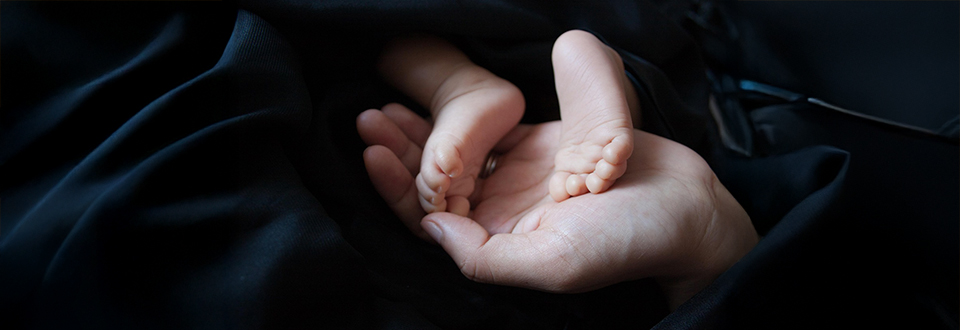 Quando si collabora i cervelli si allineano