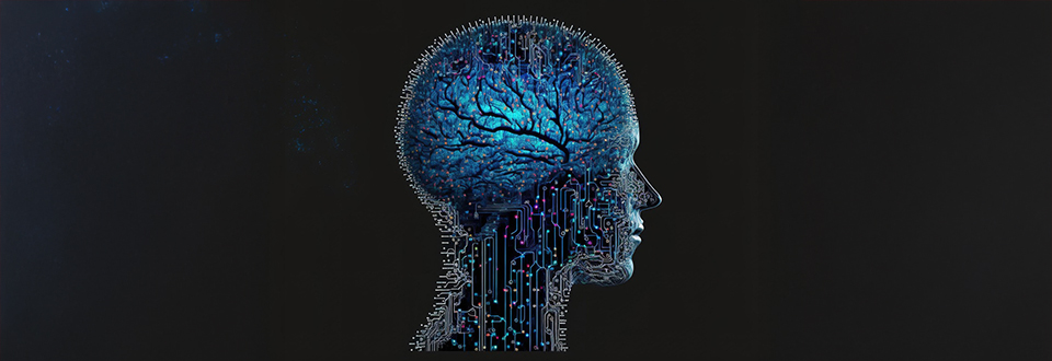 Quando si collabora i cervelli si allineano